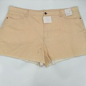 LC Lauren Conrad High-Waisted Cutoff Shorts in Peach Rail Stripe